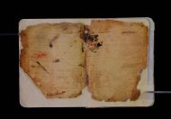 Parma, Palatina 3838
