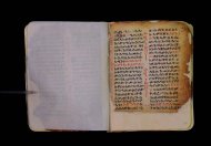 Parma, Palatina 3838