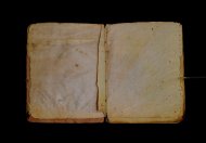 Parma, Palatina 3841
