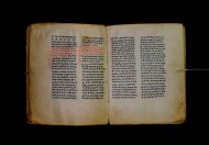 Parma, Palatina 3841