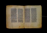 Parma, Palatina 3841