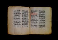 Parma, Palatina 3841