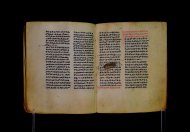 Parma, Palatina 3841