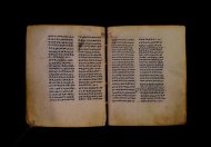 Parma, Palatina 3841