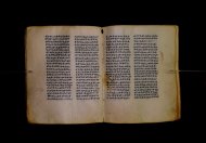 Parma, Palatina 3841