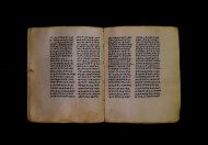 Parma, Palatina 3841