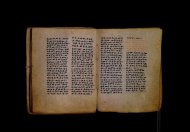 Parma, Palatina 3841
