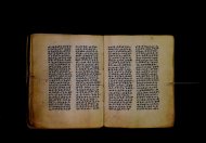 Parma, Palatina 3841