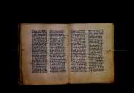 Parma, Palatina 3841
