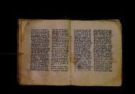 Parma, Palatina 3843