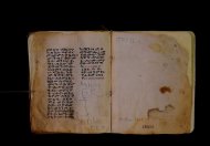 Parma, Palatina 3843