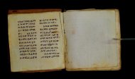 Parma, Palatina 3849