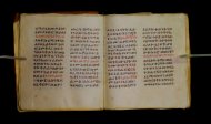 Parma, Palatina 3849