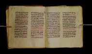 Parma, Palatina 3849