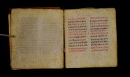 Parma, Palatina 3849