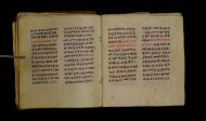 Parma, Palatina 3849