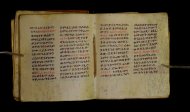 Parma, Palatina 3849