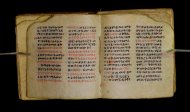 Parma, Palatina 3849