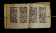 Parma, Palatina 3849