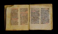 Parma, Palatina 3849