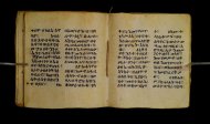 Parma, Palatina 3849