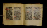 Parma, Palatina 3849