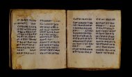 Parma, Palatina 3849