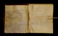 Parma, Palatina 3850