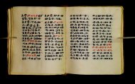 Parma, Palatina 3850