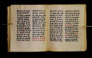 Parma, Palatina 3850