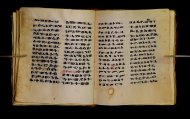 Parma, Palatina 3850