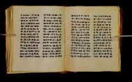Parma, Palatina 3850