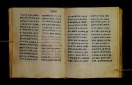 Parma, Palatina 3851