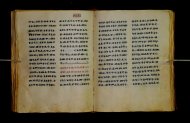 Parma, Palatina 3851