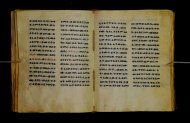 Parma, Palatina 3851