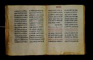 Parma, Palatina 3851