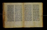 Parma, Palatina 3851