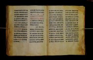 Parma, Palatina 3851