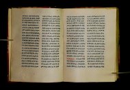 Parma, Palatina 3852