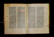 Parma, Palatina 3852