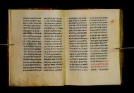 Parma, Palatina 3852