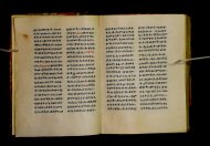 Parma, Palatina 3852