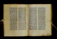 Parma, Palatina 3852