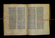 Parma, Palatina 3852