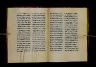 Parma, Palatina 3852