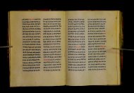 Parma, Palatina 3852