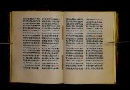 Parma, Palatina 3852