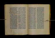 Parma, Palatina 3852