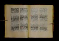 Parma, Palatina 3852