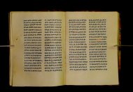 Parma, Palatina 3852
